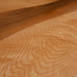 1N5A9726small
